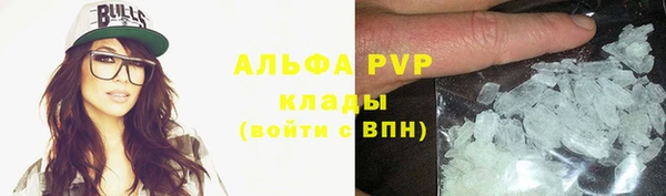 мет Алексин