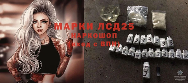 мет Алексин