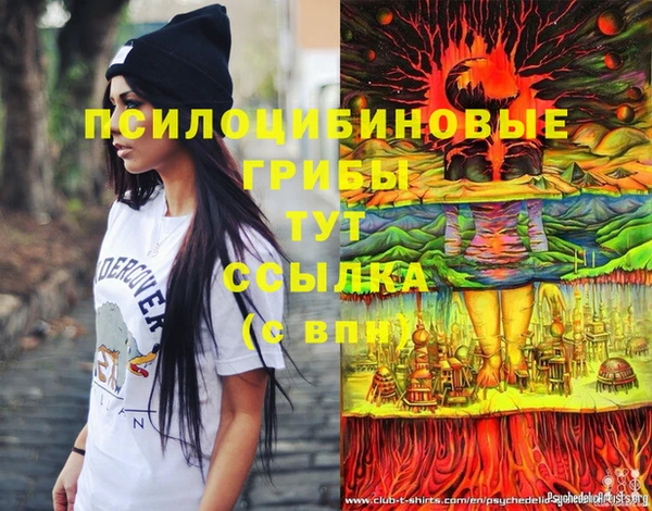 бошки Алзамай