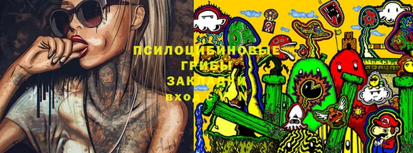 хмурый Алексеевка