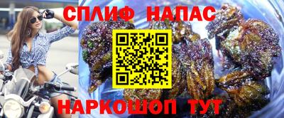 спайс Гай