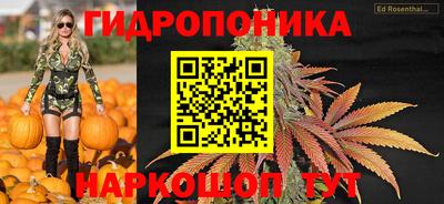 спайс Гай
