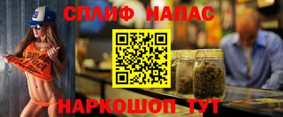 спайс Гай