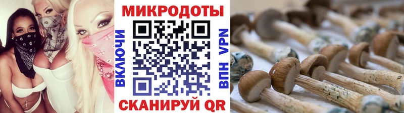 Галлюциногенные грибы мухоморы  купить закладку  Кудрово 