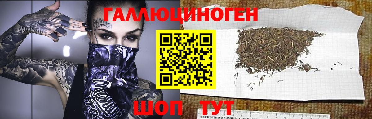 купить наркоту  Вход с VPN  Кудрово  Псилоцибиновые грибы Cubensis 